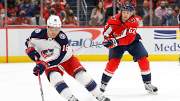 Carl Hagelin, Washington Capitals Mandatory Credit: Geoff Burke-USA TODAY Sports