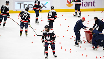 Washington Capitals Mandatory Credit: Brad Mills-USA TODAY Sports