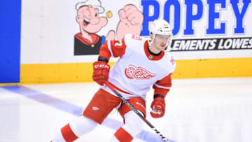 TORONTO, ON - MARCH 24: Detroit Red Wings right wing Evgeny Svechnikov (77) skates during the warm up before a game between the Detroit Red Wings and the Toronto Maple Leafs on March 24, 2018 at Air Canada Centre in Toronto, Ontario Canada. The Toronto Maple Leafs won 4-3. (Photo by Nick Turchiaro/Icon Sportswire via Getty Images)