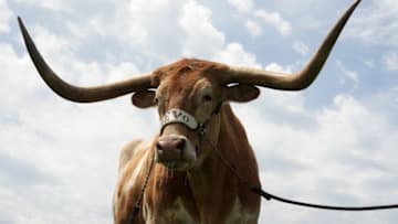 Texas football Mandatory Credit: Kirby Lee-USA TODAY Sports