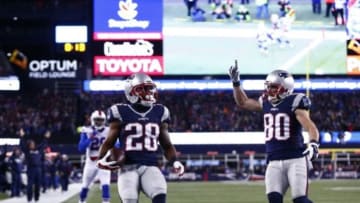 Nov 23, 2015; Foxborough, MA, USA; New England Patriots running back James White (28) scores a touchdown against the Buffalo Bills as New England Patriots wide receiver Danny Amendola (80) celebrates during the first half at Gillette Stadium. Mandatory Credit: Mark L. Baer-USA TODAY Sports