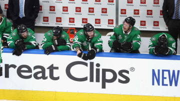The Dallas Stars. (Photo by Bruce Bennett/Getty Images)