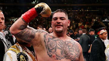 Anthony Joshua v Andy Ruiz Jr.