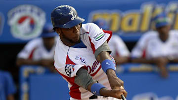 Los Tigres del Licey están solos en el segundo lugar de la LIDOM