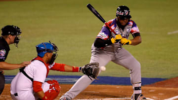 Se definieron los clasificados a los playoffs en la LIDOM