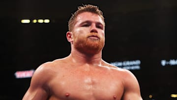 Los retadores de "Canelo" Álvarez le han hecho saber que quieren dinero del bueno para una pelea
