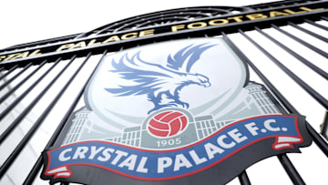 Crystal Palace v Brighton & Hove Albion - Premier League