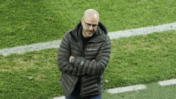 Peter Bosz hat einen neuen Job