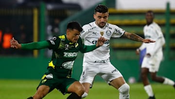 Verdão já está classificado, e argentinos buscam vaga