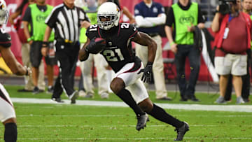 Detroit Lions v Arizona Cardinals