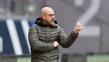 Erreichte im letzten Jahr mit Bayer Leverkusen das Pokalfinale: Peter Bosz