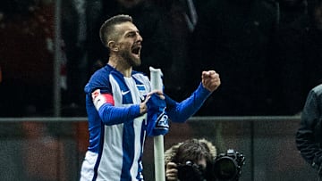Vedad Ibisevic jubelt ab sofort für Schalke