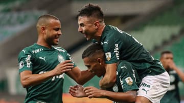 FBL-LIBERTADORES-PALMEIRAS-DELFIN