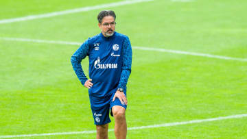 David Wagner testet mit Schalke am Freitag gegen Saloniki