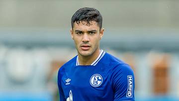 FC Schalke 04 v Aris Thessaloniki - Pre-Season Friendly FC Schalke 04 v Aris Thessaloniki - Pre-Season Friendly