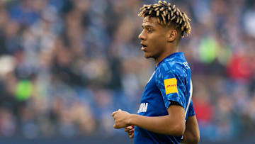 FC Schalke 04 v TSG 1899 Hoffenheim - Bundesliga