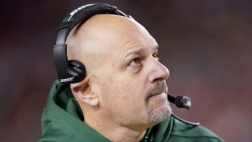 Green Bay Packers defensive coordinator Mike Pettine