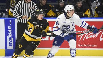 Hamilton Bulldogs v Mississauga Steelheads