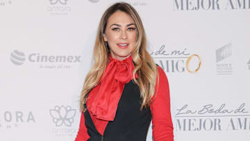 Aracely Arámbula demandará a Luis Miguel para exigirle que cumpla con su obligación monetaria como padre de dos niños
