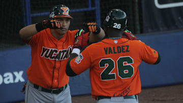Los Leones de Yucatán buscarán su boleto a segunda ronda de playoffs