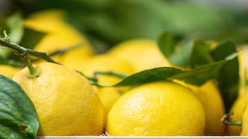 El limón es un remedio eficaz para eliminar las cicatrices de la piel