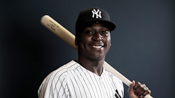 New York Yankees Photo Day
