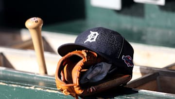 New York Yankees v Detroit Tigers - Game Four