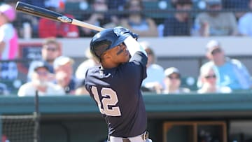 New York Yankees utility star Rosell Herrera has raked in spring training.