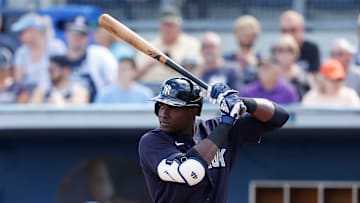 There's no shortage of prospect talent that the Yankees can flip for another starter.