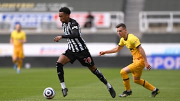 Newcastle United v Tottenham Hotspur - Premier League