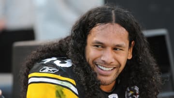 Former Pittsburgh Steelers safety Troy Polamalu has been voted into the Pro Football Hall of Fame