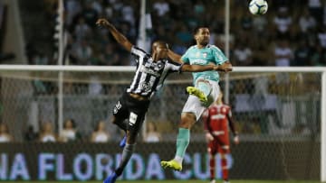 Palmeiras v Botafogo- Brasileirao Series A 2019