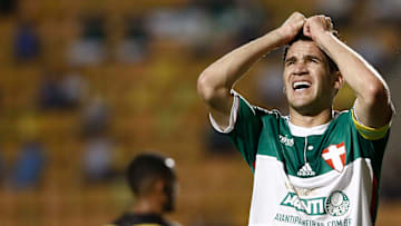 Palmeiras v Criciuma - Brasileirao Series A 2014