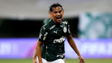 Palmeiras v Libertad - Copa CONMEBOL Libertadores 2020