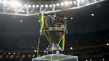 Palmeiras v Santos - Copa do Brasil 2015 Final