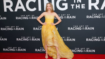 Premiere Of 20th Century Fox's "The Art Of Racing In The Rain" - Arrivals