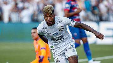 Santos v Fortaleza - Brasileirao Series A 2019