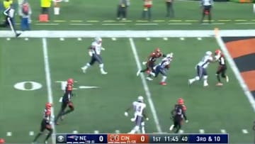 James White made mince meat of the Bengals