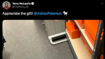 Terry McLaurin has been a special player for the Redskins this season, and Adrian Peterson knows it.