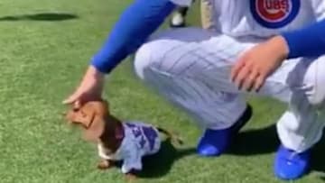 The Cubs posted an incredible TikTok of Anthony Rizzo with his puppy.