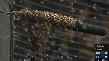 A swarm of bees invaded Petco Park during Sunday's Marlins-Padres game.