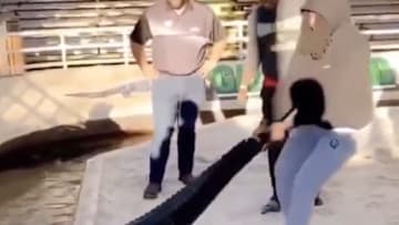 Alvin Kamara is casually tackling one of nature's fiercest predators.
