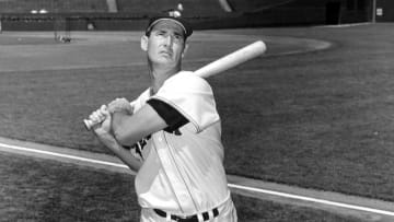 Ted Williams
