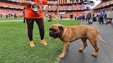 Tennessee Titans v Cleveland Browns