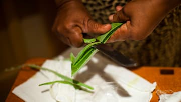 El Aloe Vera tiene propiedades antiinflamatorias que calman la sensación de pies hinchados