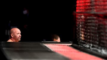 Dana White