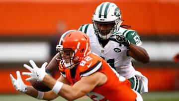 CLEVELAND, OH - OCTOBER 30: Gary Barnidge