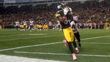 Pittsburgh Steelers wide receiver Antonio Brown issued a profane tweet directed towards NFL officials early Tuesday morning. He has since removed it. Mandatory Credit: Jason Bridge-USA TODAY Sports