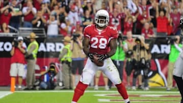 Oct 17, 2013; Phoenix, AZ, USA; Arizona Cardinals running back Rashard Mendenhall (28) celebrates a three yard touchdown during the first half against the Seattle Seahawks at University of Phoenix Stadium. Mandatory Credit: Matt Kartozian-USA TODAY Sports