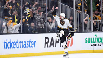 Nov 25, 2022; Boston, Massachusetts, USA; Boston Bruins right wing David Pastrnak (88) reacts after scoring the winning goal in overtime against the Carolina Hurricanes at TD Garden. Mandatory Credit: Bob DeChiara-USA TODAY Sports